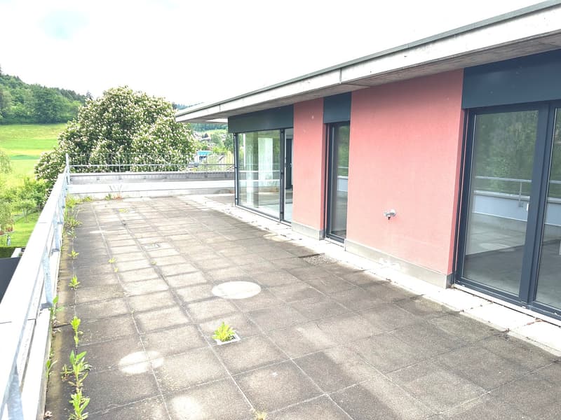 Grosszügige 6-Zimmer-Attikawohnung mit Cheminée und grosser Terrasse (12)