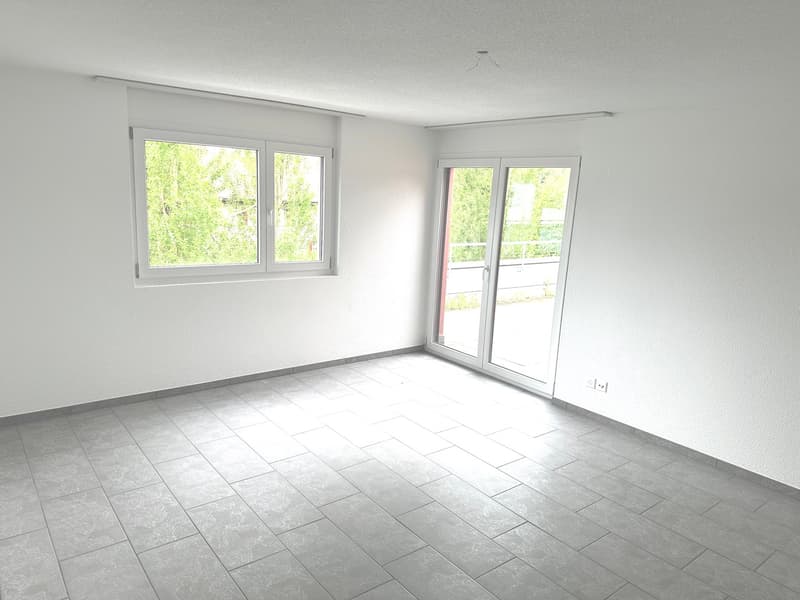 Grosszügige 6-Zimmer-Attikawohnung mit Cheminée und grosser Terrasse (8)