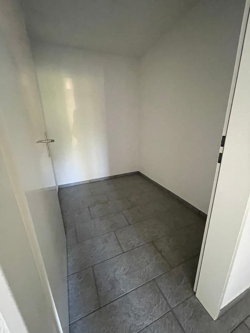 Helle 4.5-Zimmerwohnung mit Aussicht (7)
