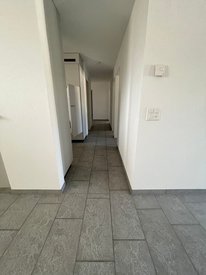 Helle 4.5-Zimmerwohnung mit Aussicht (3)