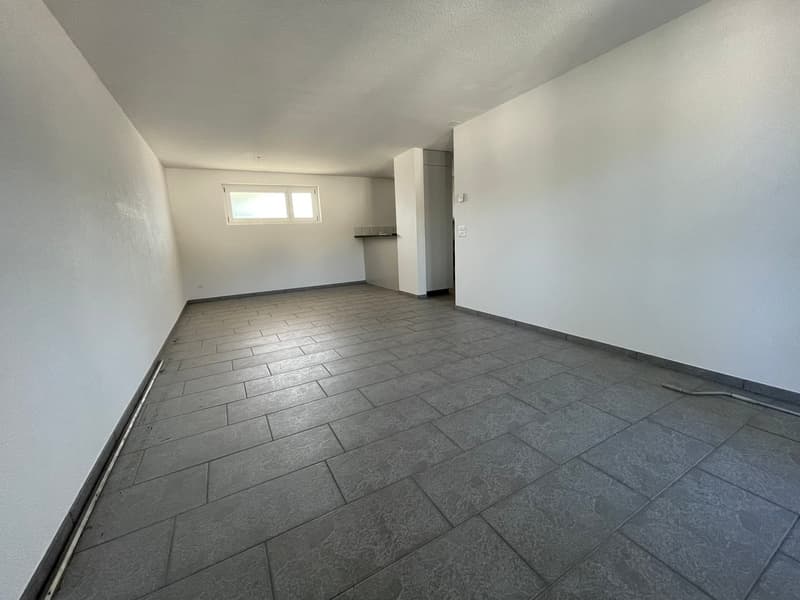 Helle 4.5-Zimmerwohnung mit Aussicht (1)