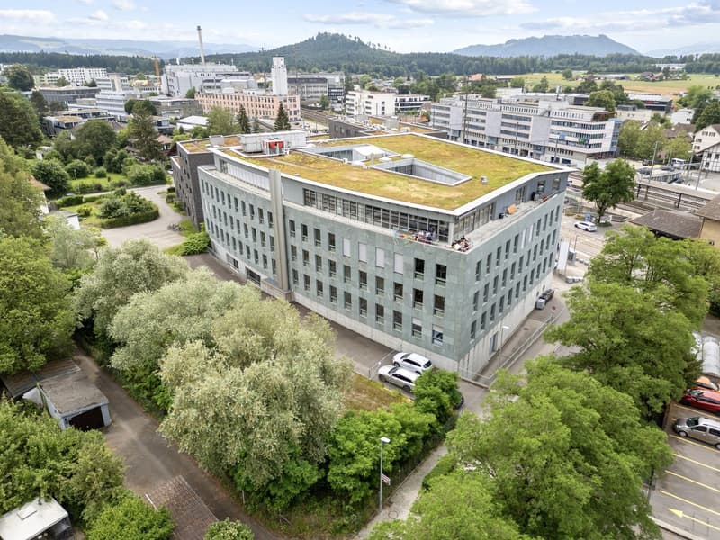 Helle Büro- und Arbeitsräume für höchste Ansprüche ! (3)