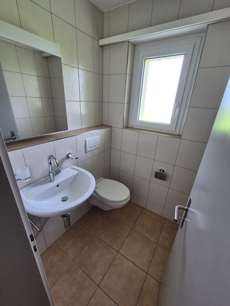 Familienwohnung in ruhigem Quartier! (5)