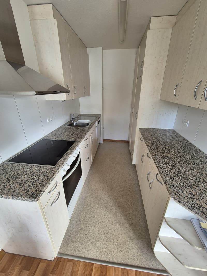 Familienwohnung in ruhigem Quartier! (4)