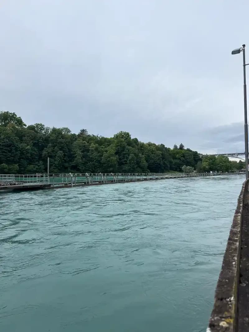Wohnen an der Aare  stilvolle 3.5-Zimmerwohnung mit grosser Terrasse (9)