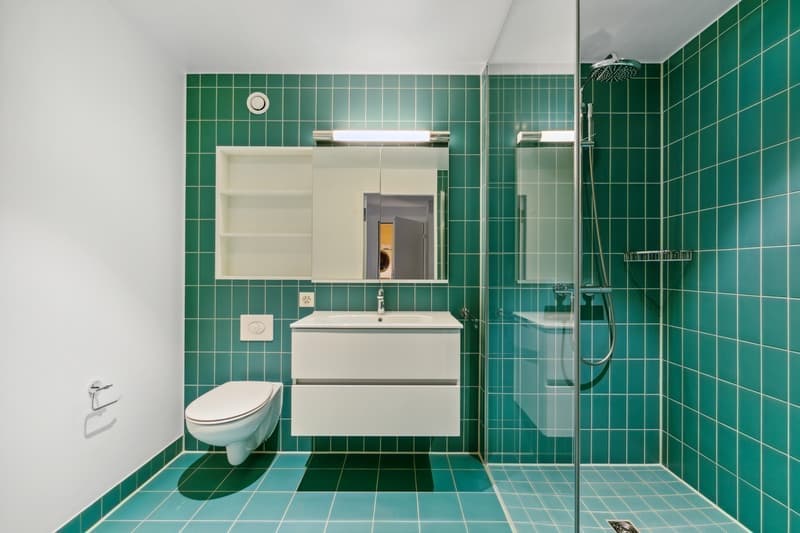 Traumhafte Neubauwohnung (5)