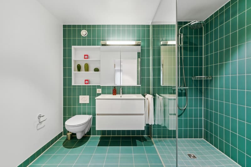 3.5-Zimmerwohnung im Tower Münchenstein BL (5)