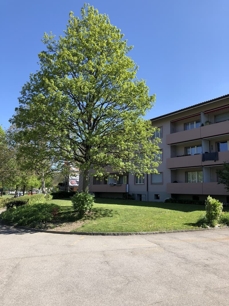 Ihre neue Wohnung in Burgdorf (1)