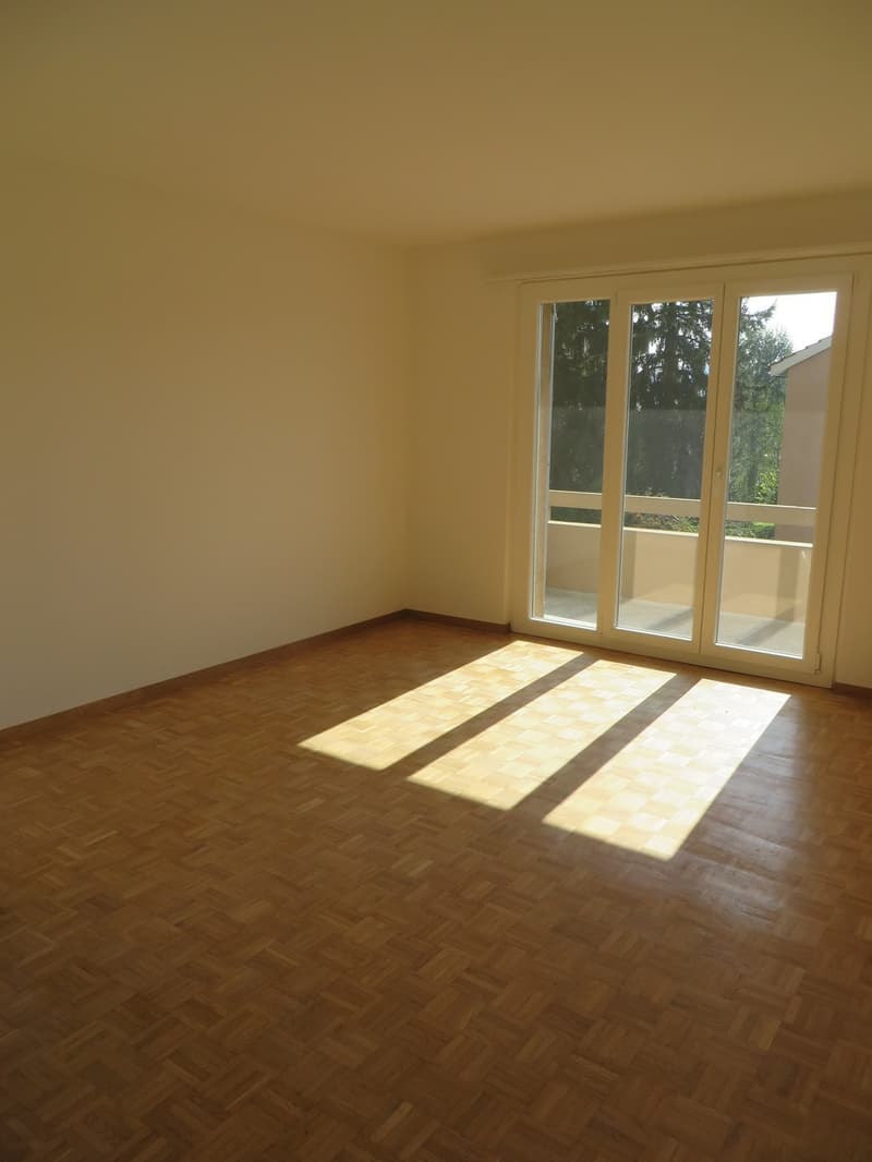 Nachmieter per sofort gesucht! (5)