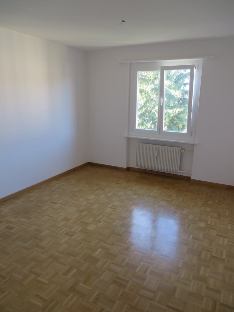 Nachmieter per sofort gesucht! (3)