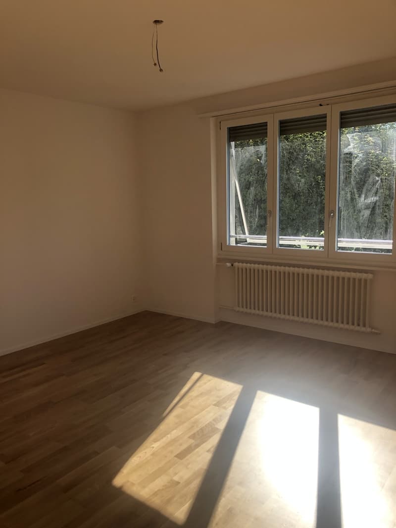 Sanierte Wohnung mit Balkon und Blick ins Grüne (5)