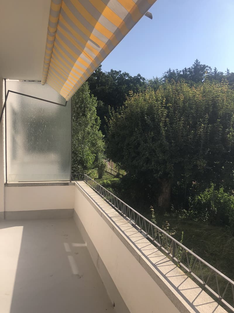 Sanierte Wohnung mit Balkon und Blick ins Grüne (9)