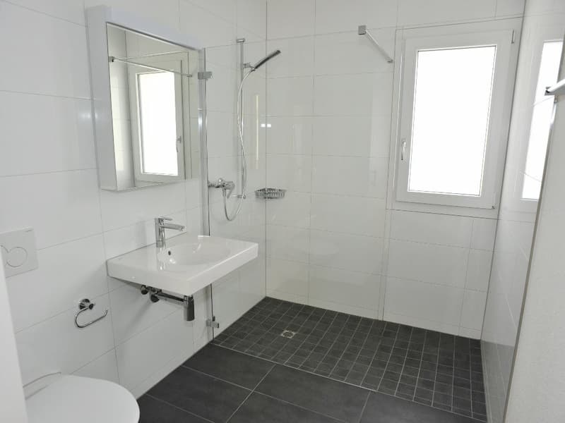 Moderne 4.5 Zimmer Attikawohnung mit 43 m2 Terrasse (6)