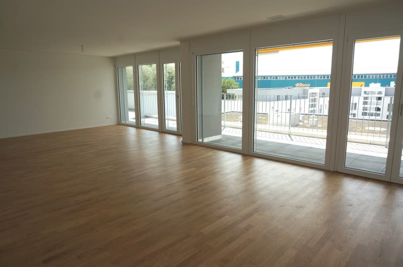 Moderne 4.5 Zimmer Attikawohnung mit 43 m2 Terrasse (3)