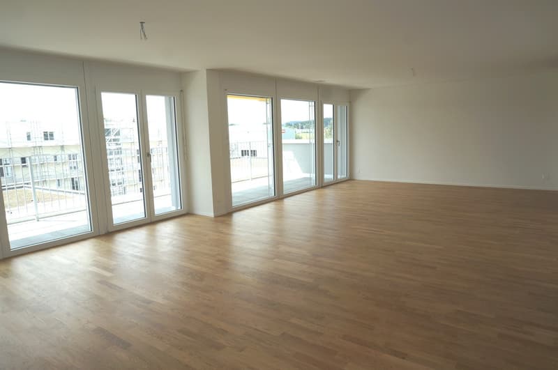 Moderne 4.5 Zimmer Attikawohnung mit 43 m2 Terrasse (2)