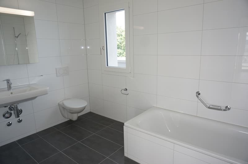 Moderne 4.5 Zimmer Attikawohnung mit 43 m2 Terrasse (8)