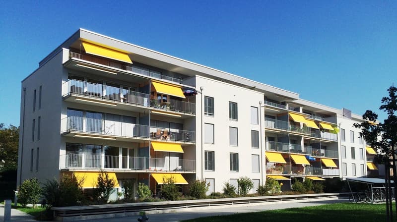 Moderne 4.5 Zimmer Attikawohnung mit 43 m2 Terrasse (1)