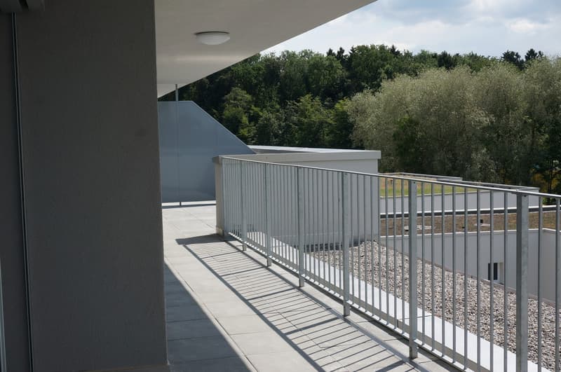 Moderne 4.5 Zimmer Attikawohnung mit 43 m2 Terrasse (10)