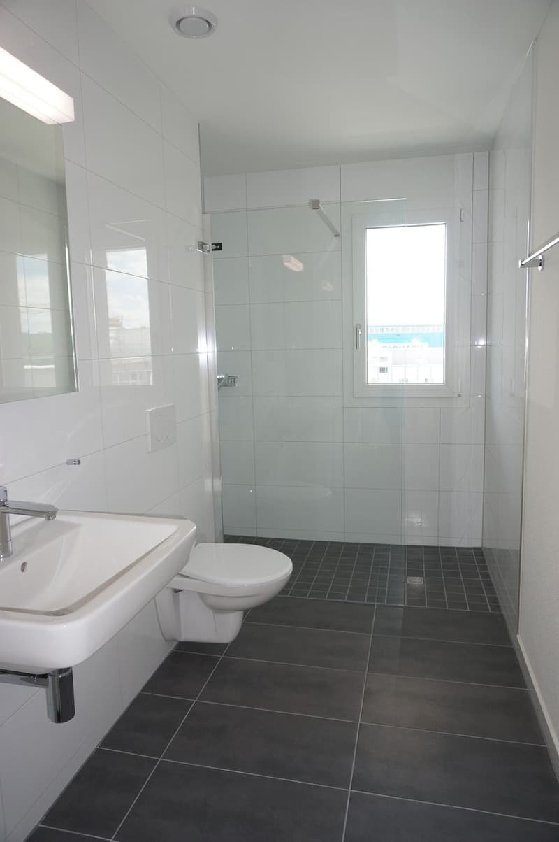 Moderne 4.5 Zimmer Attikawohnung mit 43 m2 Terrasse (7)