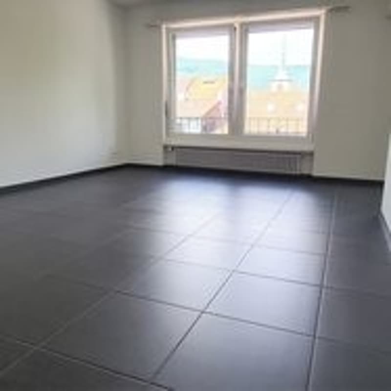 Charmante 1.5-Zimmerwohnung in Nidau sucht neue Mieter! (6)