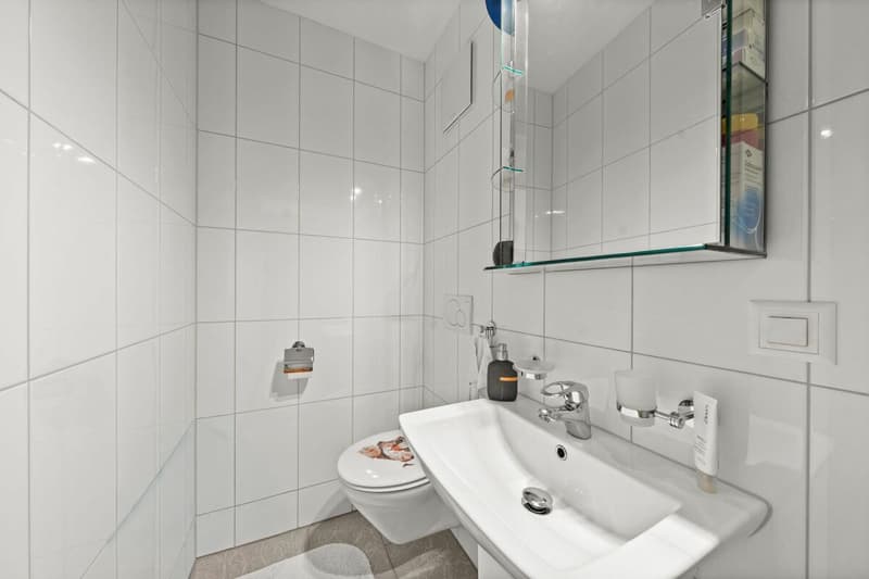 NEUWERTIGE STADTWOHNUNG (11)