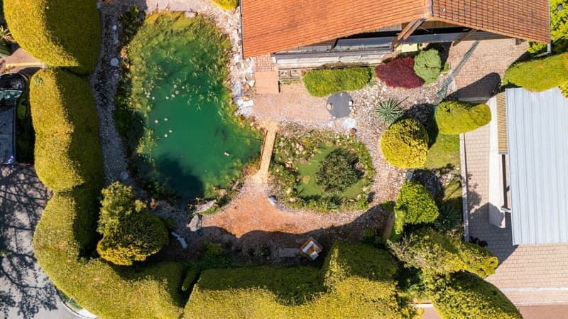 ANKOMMEN IM PARADIES (3)