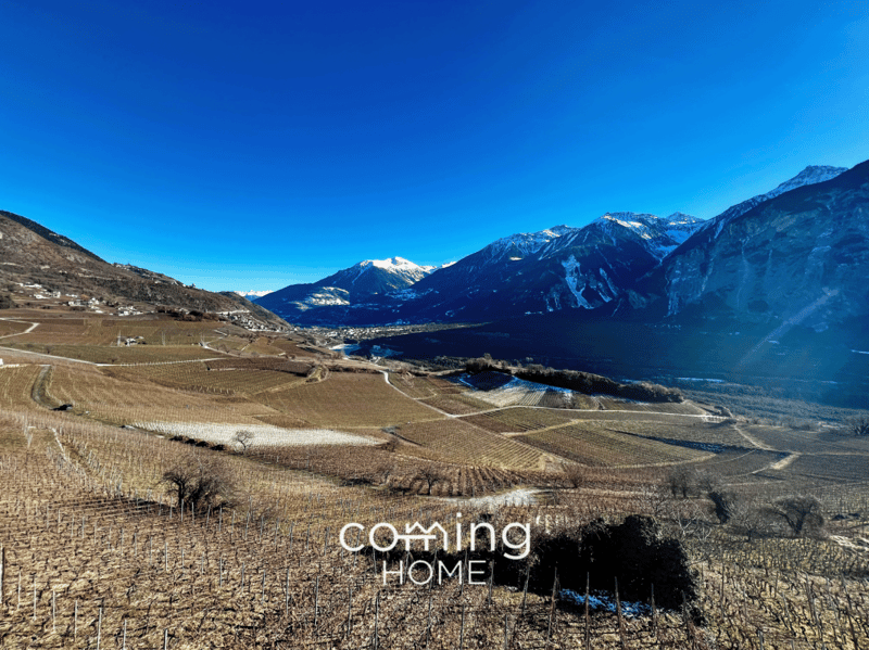 Investment opportunity in the wine-growing village of Varen - a three-flat apartment block with mountain views (21)