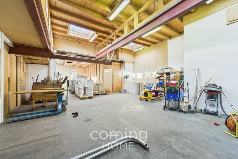 Mehrfamilienhaus mit Gewerbehalle in Turtmann - drei Wohneinheiten, 2024 renoviert (14)