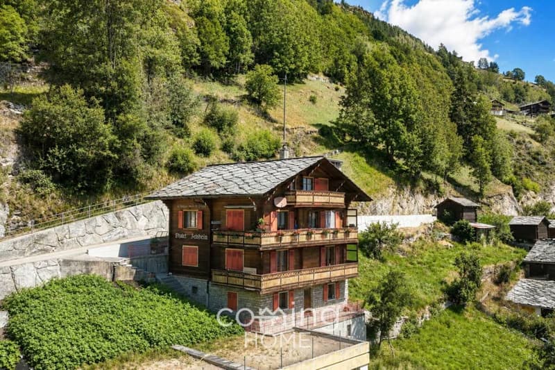 Charmant appartement de 3,5 pièces dans un chalet valaisan à Embd - vue sur la montagne et résidence secondaire (14)