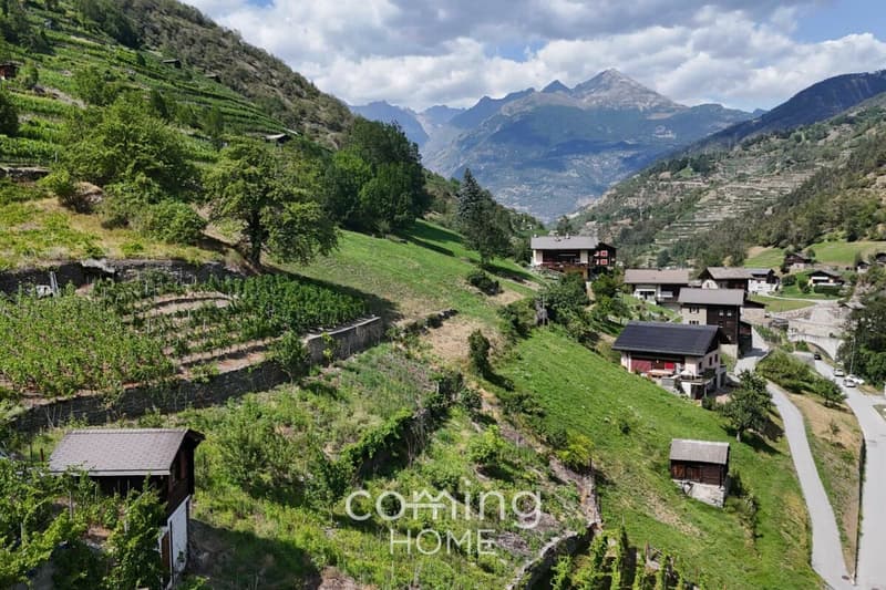 Parcelle viticole avec maison vigneronne à Stalden - Viticulture dans la vallée de Viège (7)