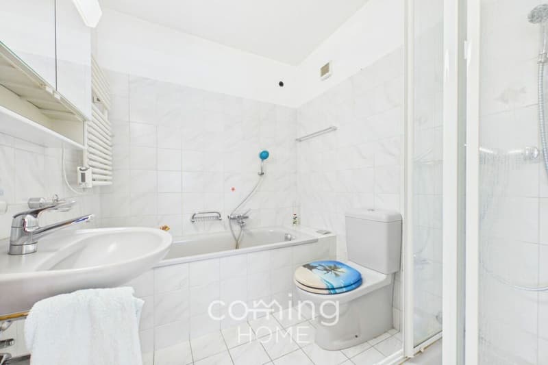 Spacieux appartement en attique avec terrasse panoramique - Brigue (11)