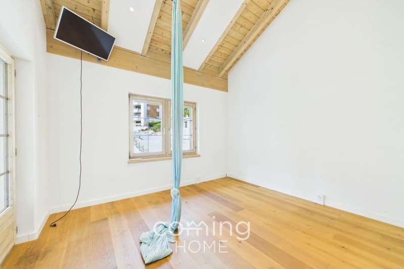 Maison individuelle haut de gamme, appartement indépendant et grand terrain à Stalden (17)