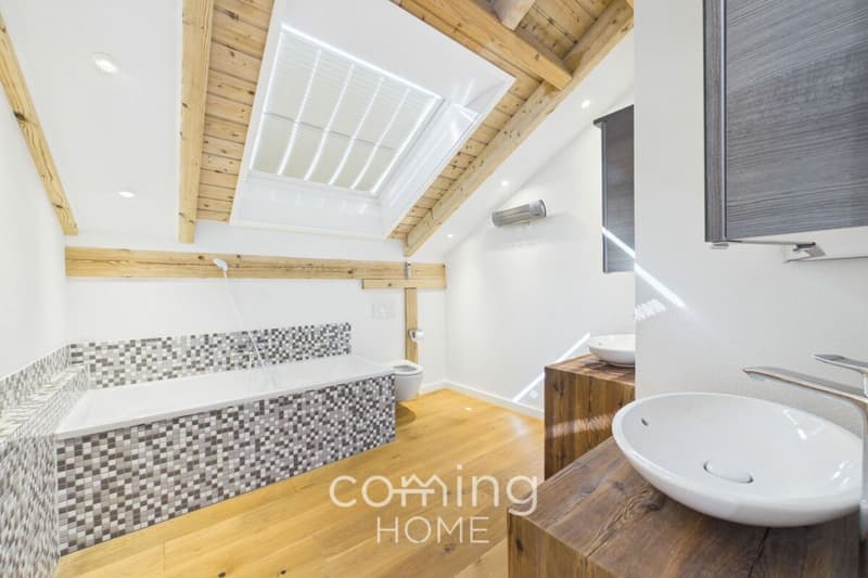 Maison individuelle haut de gamme, appartement indépendant et grand terrain à Stalden (11)