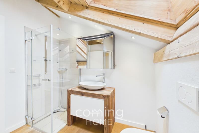 Maison individuelle haut de gamme, appartement indépendant et grand terrain à Stalden (15)