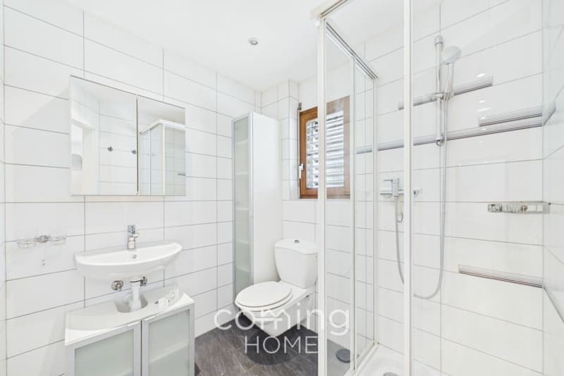 Maison individuelle haut de gamme, appartement indépendant et grand terrain à Stalden (22)