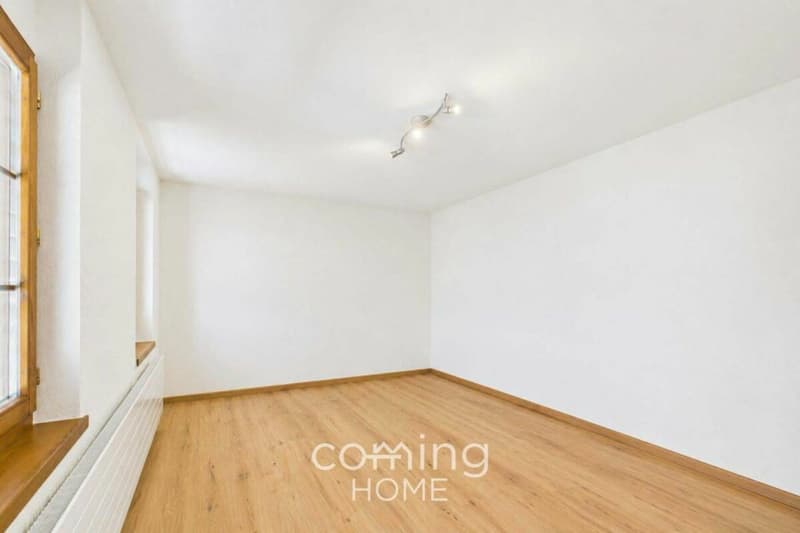 Maison individuelle haut de gamme, appartement indépendant et grand terrain à Stalden (14)