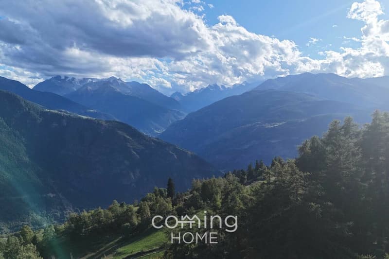 Restaurant with Valais charm in Salwald, Mund - tradition and enjoyment combined (25)