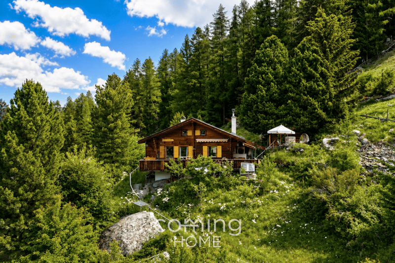 Charmantes 4-Zimmer-Chalet in Gasenried mit Panoramablick - Zweitwohnsitz möglich (1)