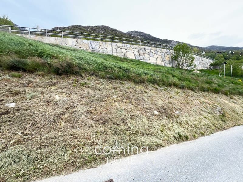 Baugrundstück in Steg ? 722 m², Baubewilligung und Tiny House Projekt inklusive (4)