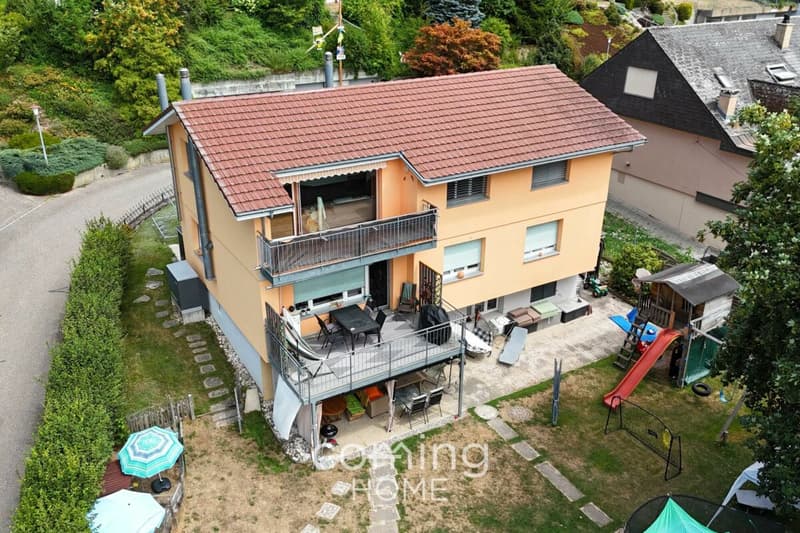 Modernisiertes Mehrfamilienhaus mit drei Wohneinheiten in sonnigem Rohrbach (1)