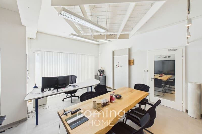 Werkstatt und Büro mit 15 Parkplätzen - Gewerbeeinheit in gut erschlossenem Luterbach (3)
