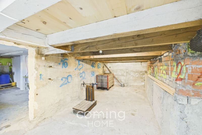 Werkstatt und Büro mit 15 Parkplätzen - Gewerbeeinheit in gut erschlossenem Luterbach (12)