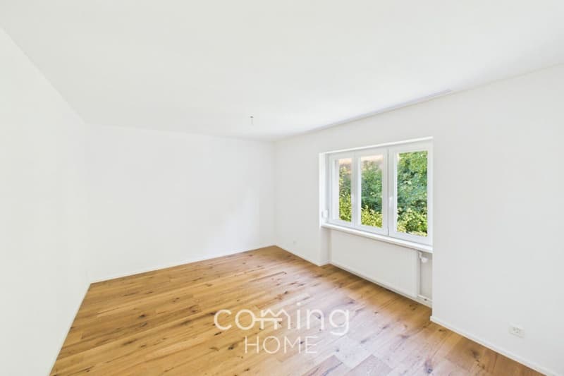 Frisch renovierte 4-Zimmer-Attikawohnung in Wöschnau mit grosser Terrasse und Weitsicht (6)