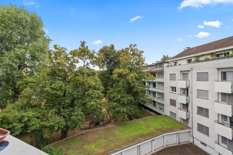 Investitori Ricercati Appartamento 5 Locali a Basilea (11)