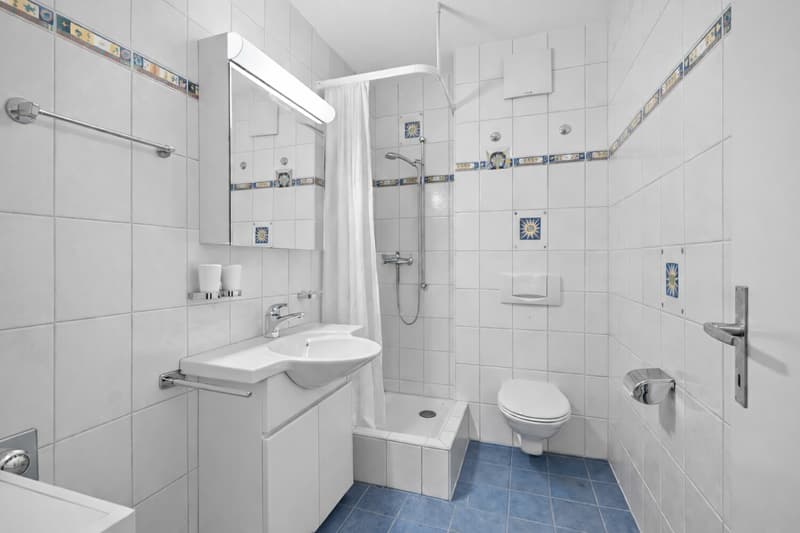 Investitori Ricercati Appartamento 5 Locali a Basilea (5)