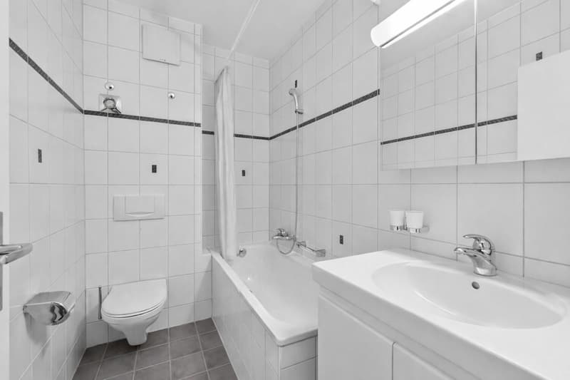 Investitori Ricercati Appartamento 5 Locali a Basilea (6)