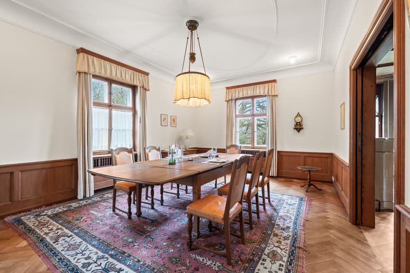 Historische Villa mit herrschaftlichem Charakter (8)