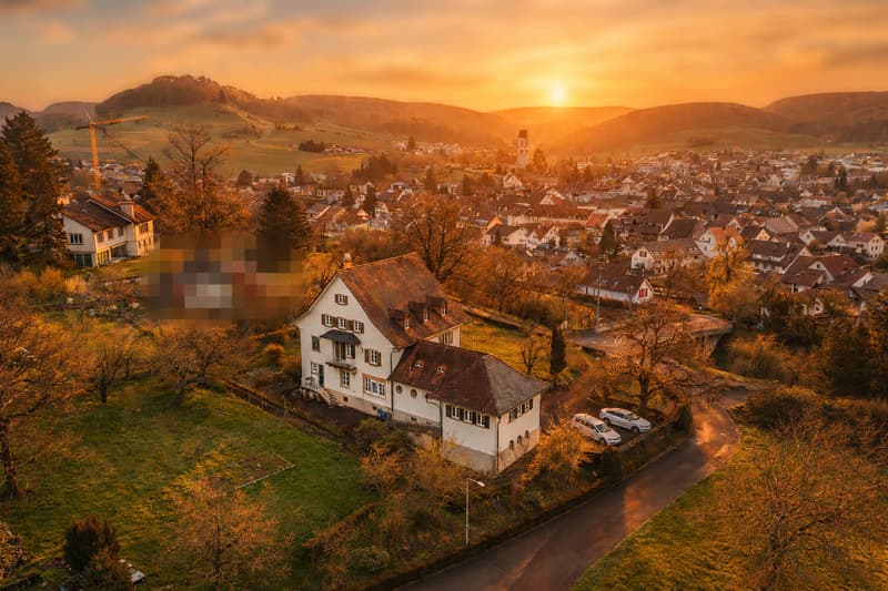 Historische Villa mit herrschaftlichem Charakter (12)
