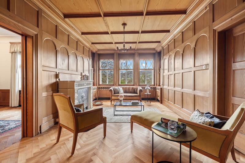 Historische Villa mit herrschaftlichem Charakter (3)