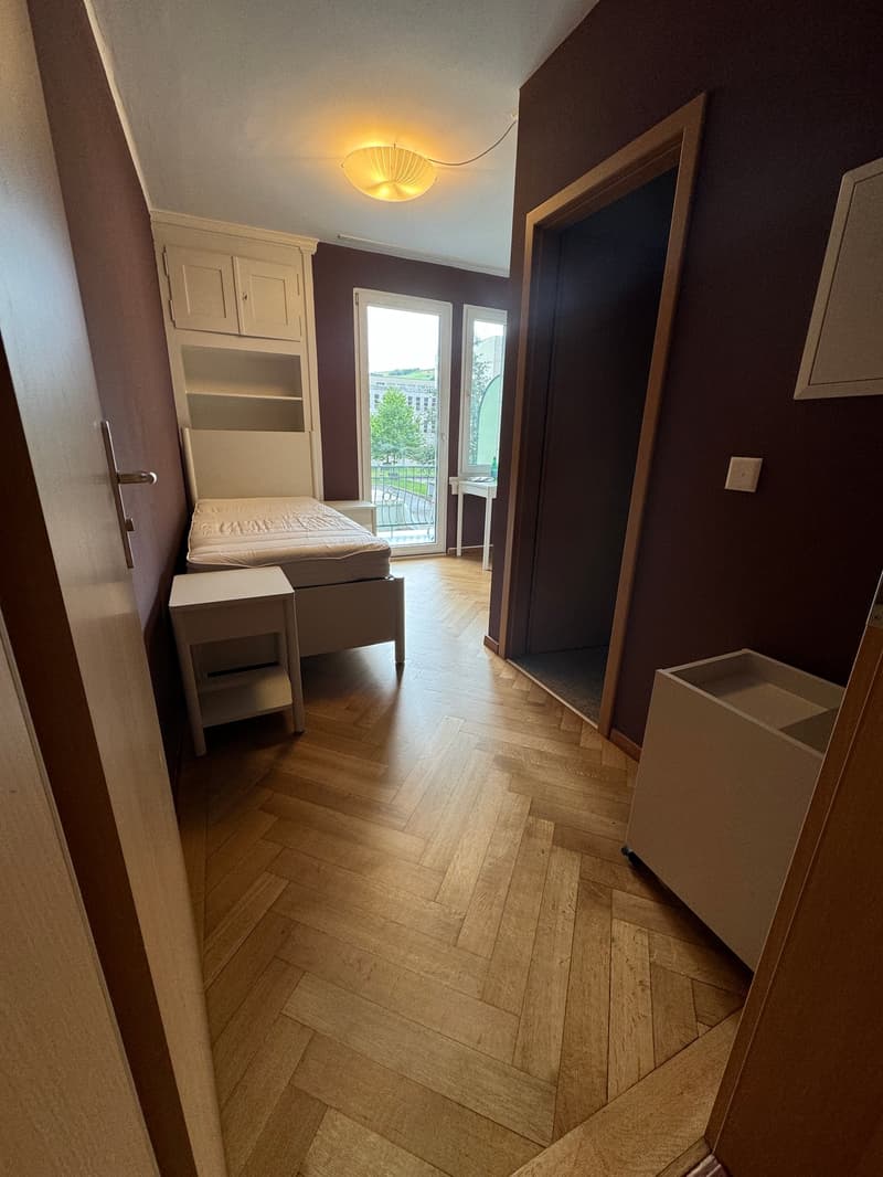 single bed, bedside table, built-in wardrobe, balcony, parquet floor